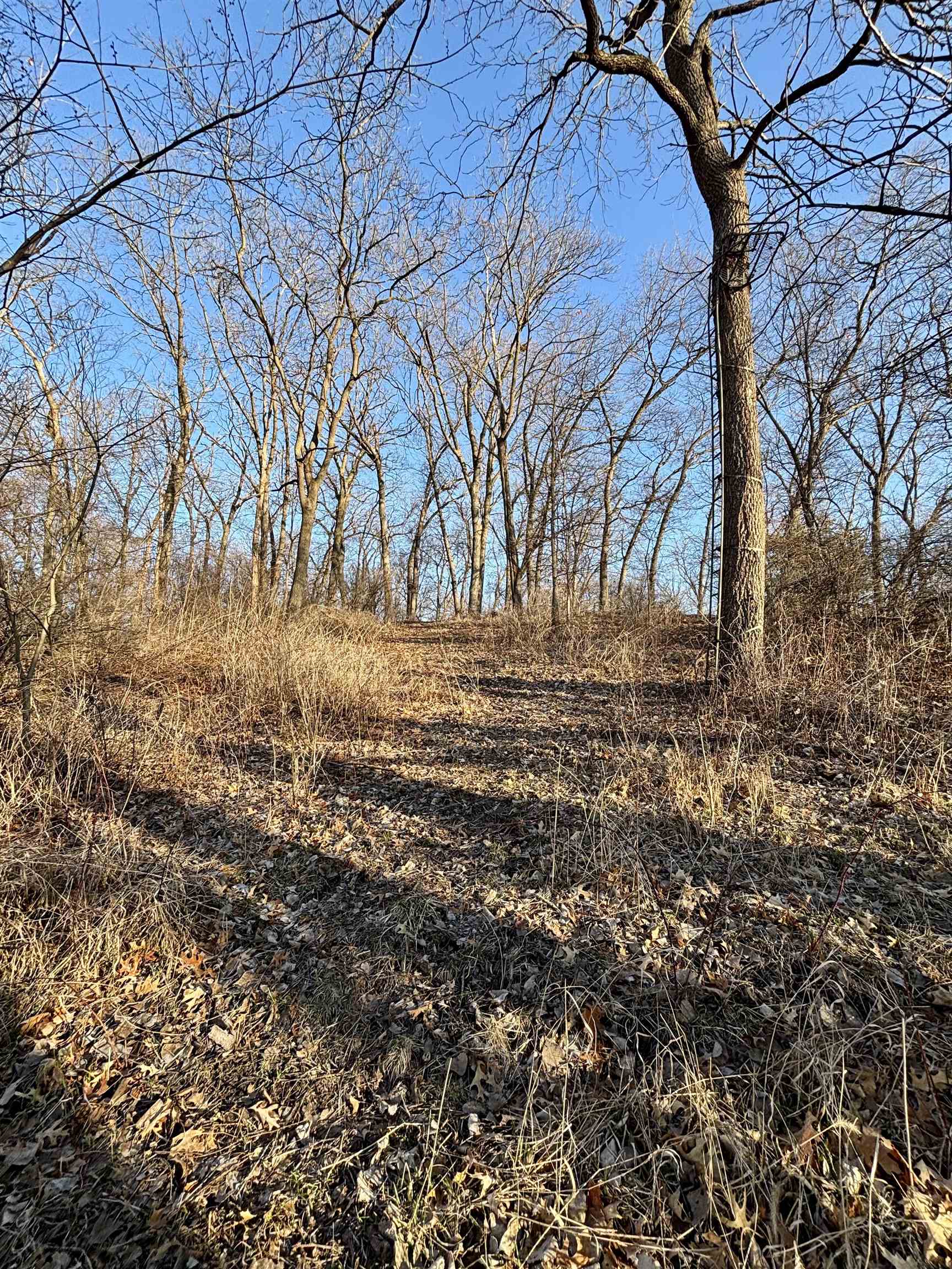 Tbd South Elmoville Road Stockton, IL 61085 - Photo 25 of 29