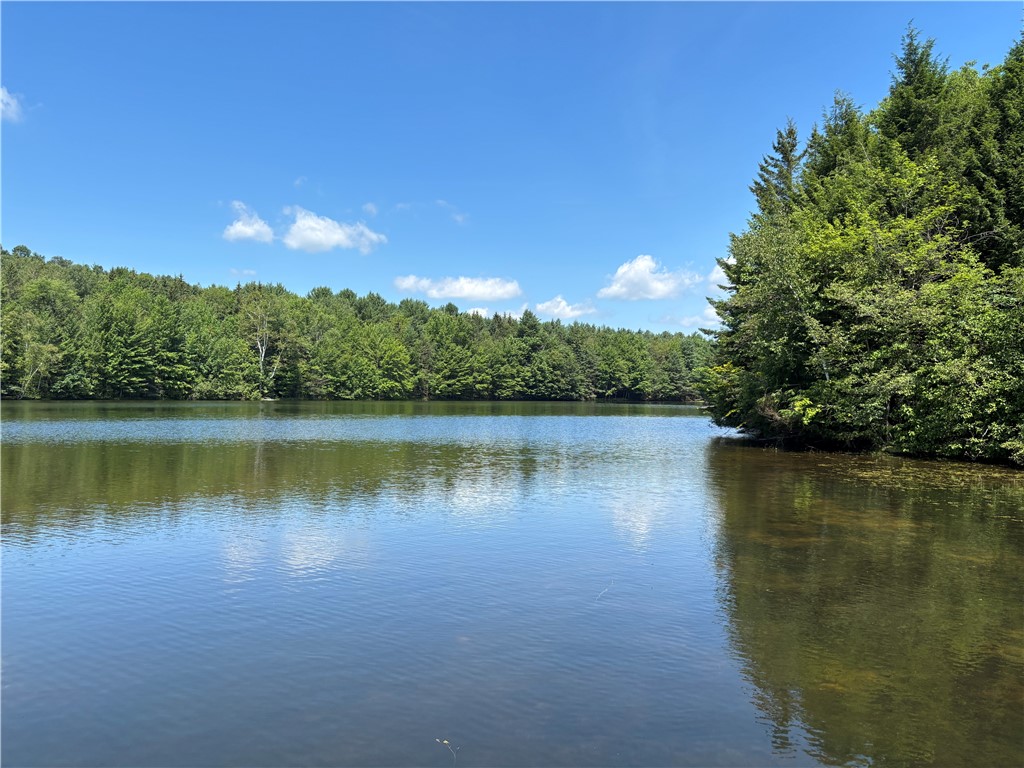 179 Sparrowhawk Lake Road Maryland, NY 12155 - Photo 44 of 49
