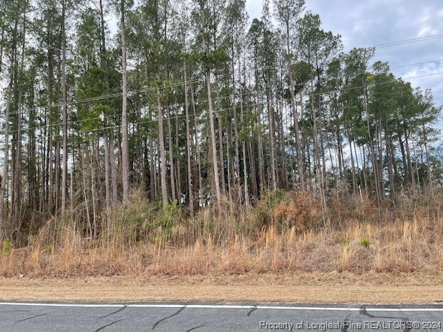 Tabor Church Road Fayetteville, NC 28312 - Photo 1 of 1 Gallery Image 1