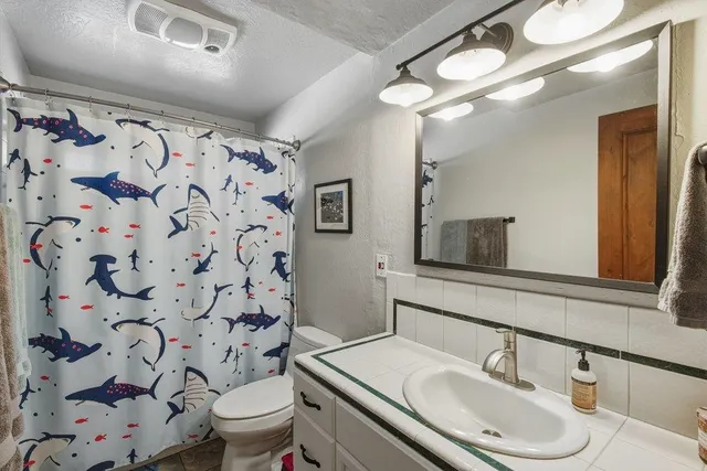 a bathroom with a sink toilet and shower