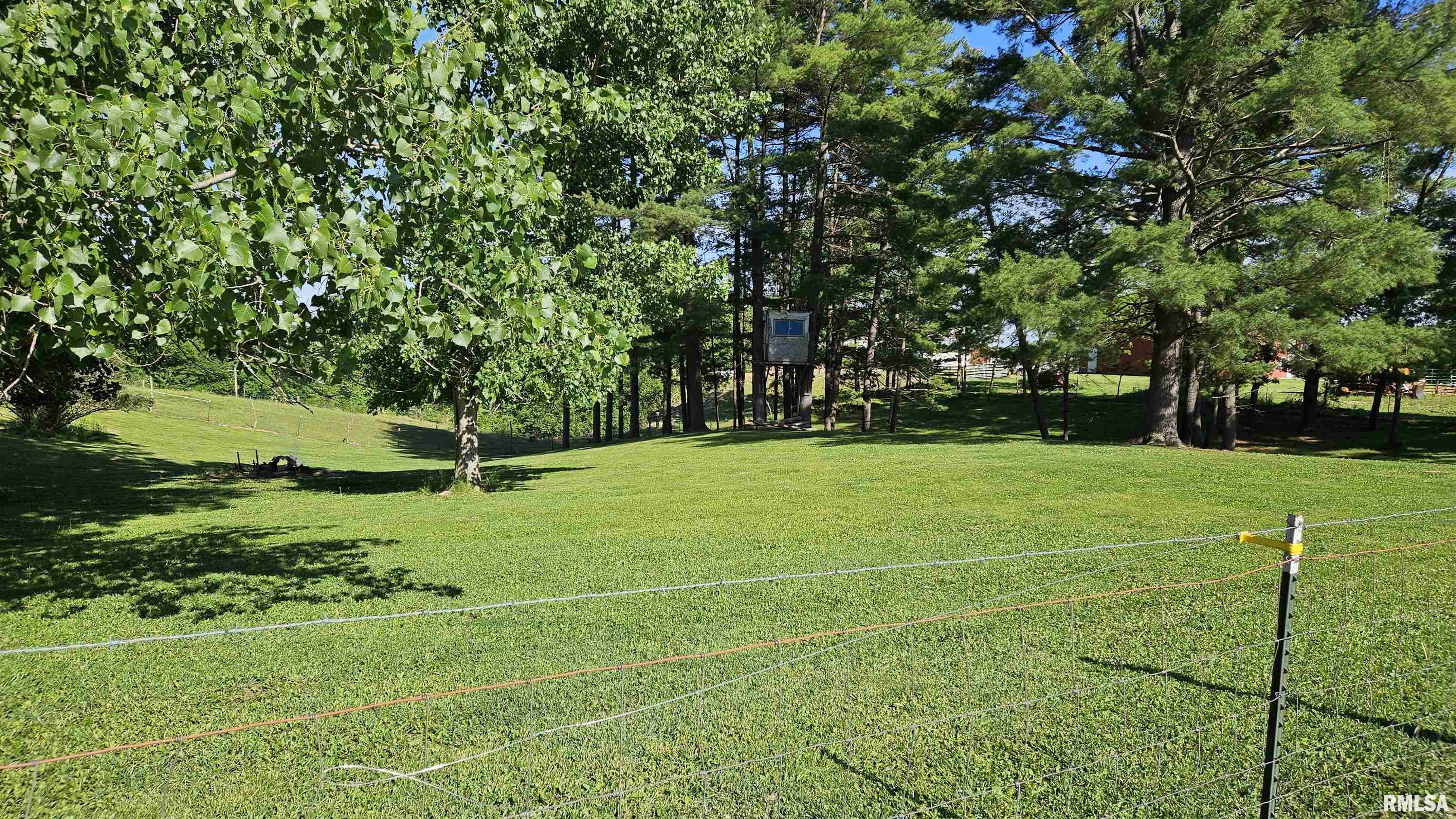 25721 North Dogpatch Road Ellisville, IL 61431 - Photo 11 of 52