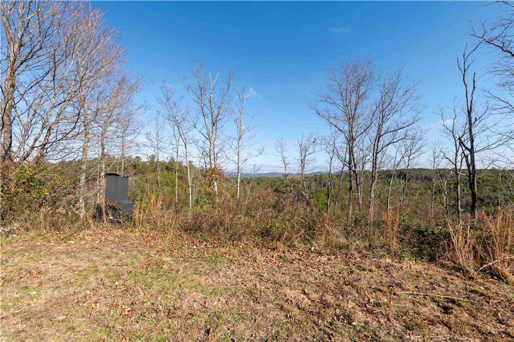 946 Hightower Loop Road Ranger, GA 30734 - Photo 22 of 22 a view of backyard and tree