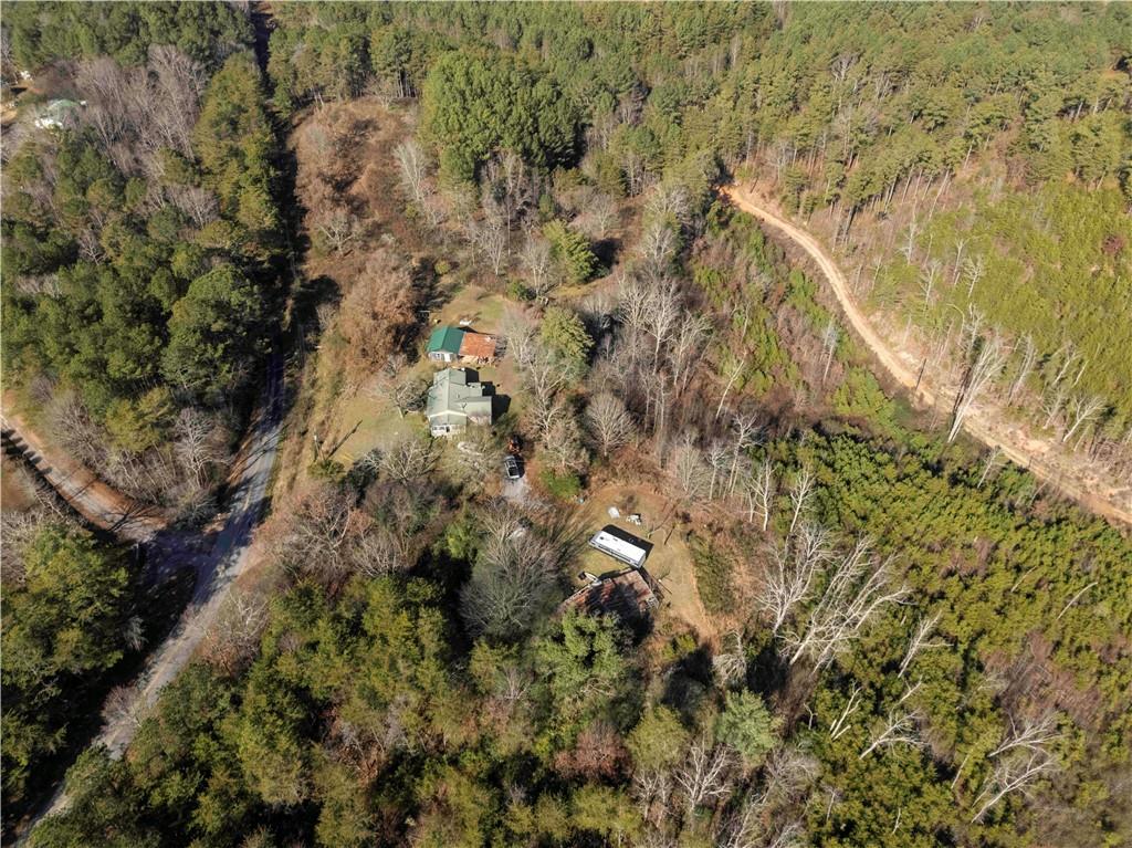 946 Hightower Loop Road Ranger, GA 30734 - Photo 5 of 22 a view of a forest with a tree