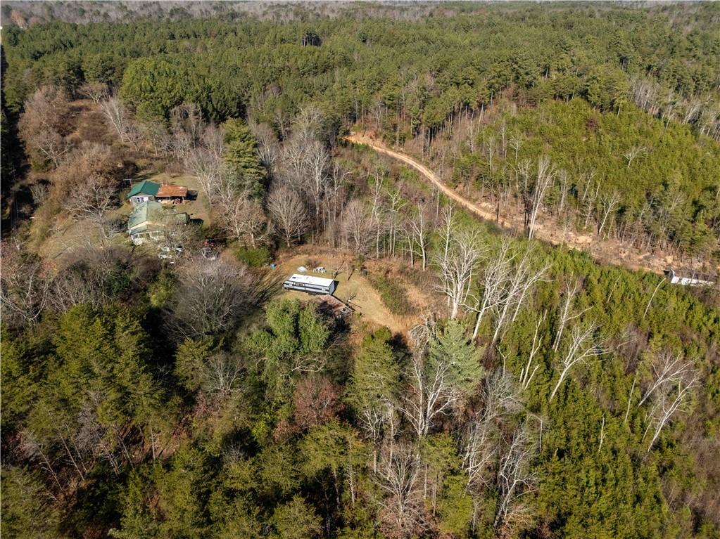 946 Hightower Loop Road Ranger, GA 30734 - Photo 6 of 22 a view of a houses with a lush green forest