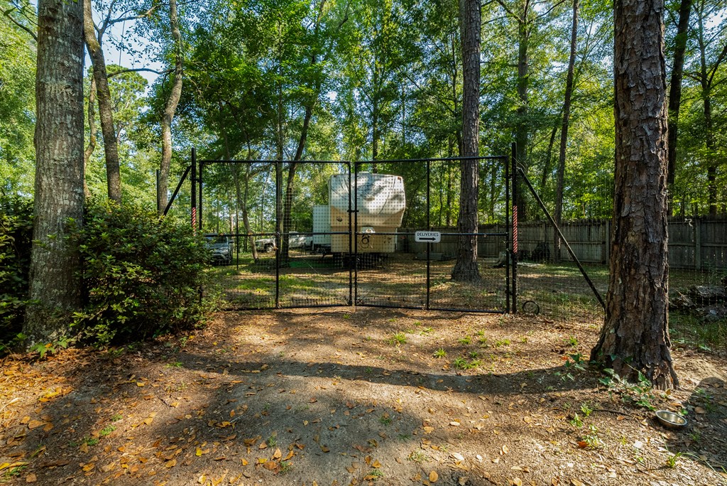 235 Epps Road Box Springs, GA 31801 - Photo 15 of 93 a view of a yard with a tree