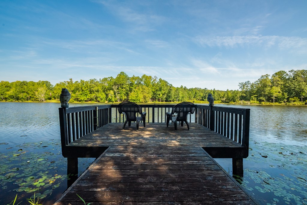 235 Epps Road Box Springs, GA 31801 - Photo 18 of 93 a view of a balcony with wooden floor and outdoor space