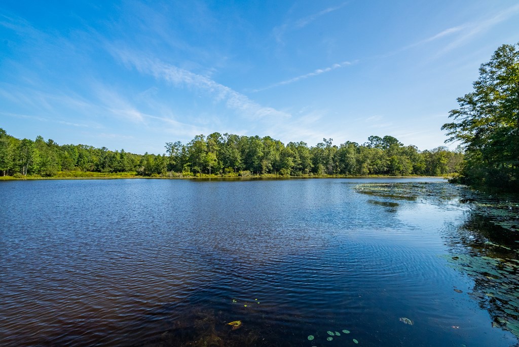 235 Epps Road Box Springs, GA 31801 - Photo 20 of 93 a view of a lake view
