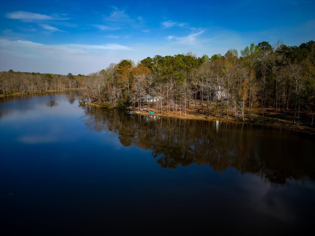 235 Epps Road Box Springs, GA 31801 - Photo 2 of 93 a view of lake view and mountain view