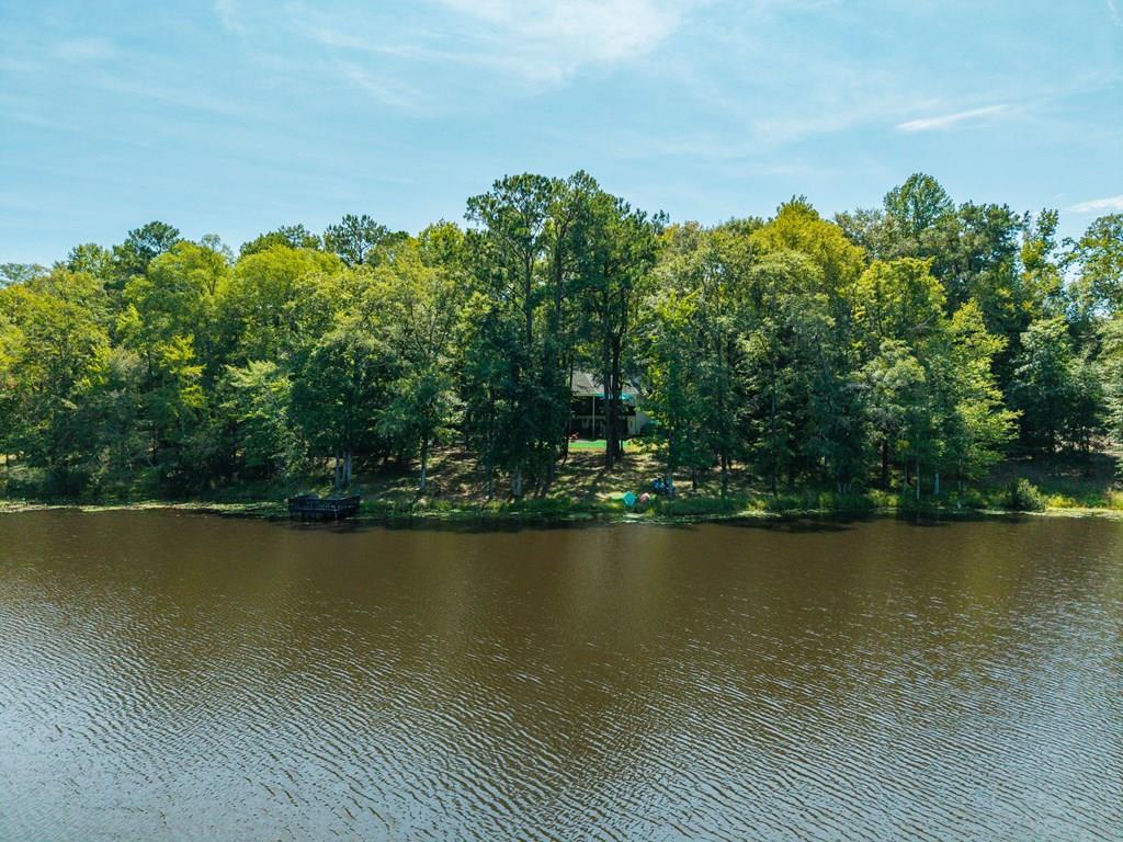 235 Epps Road Box Springs, GA 31801 - Photo 3 of 93