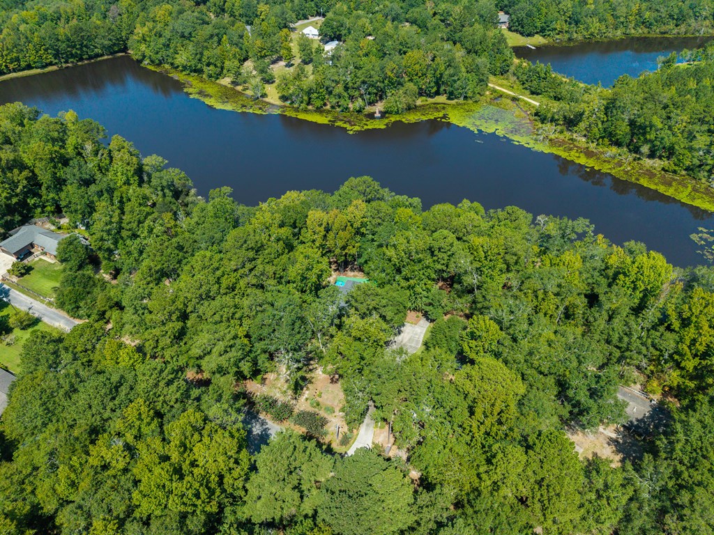 235 Epps Road Box Springs, GA 31801 - Photo 4 of 93