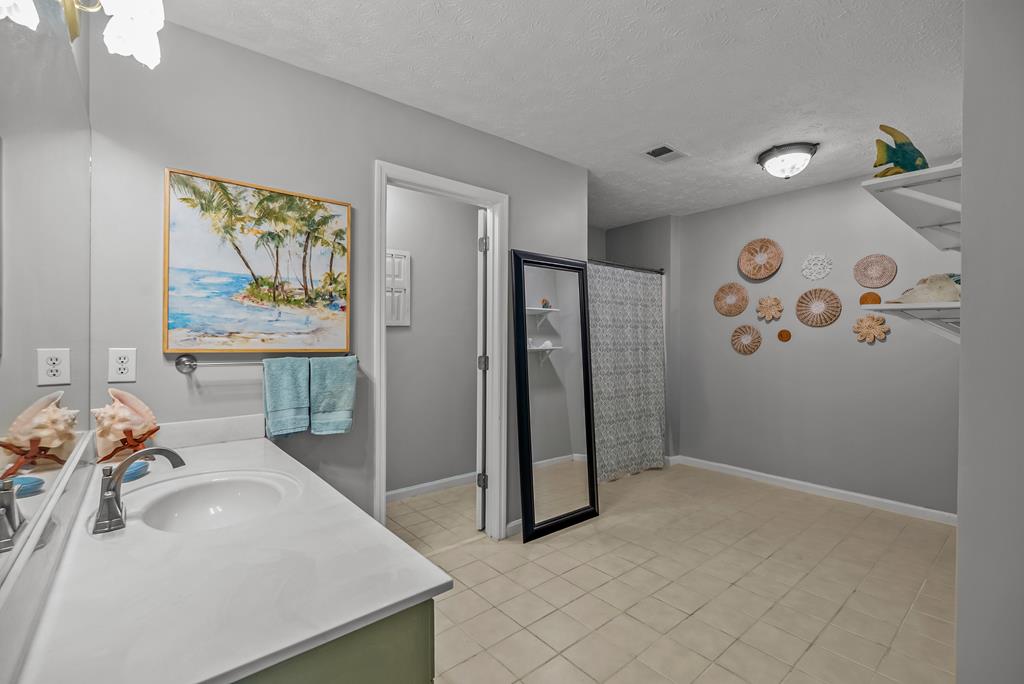 235 Epps Road Box Springs, GA 31801 - Photo 49 of 93 Huge bath in lower level