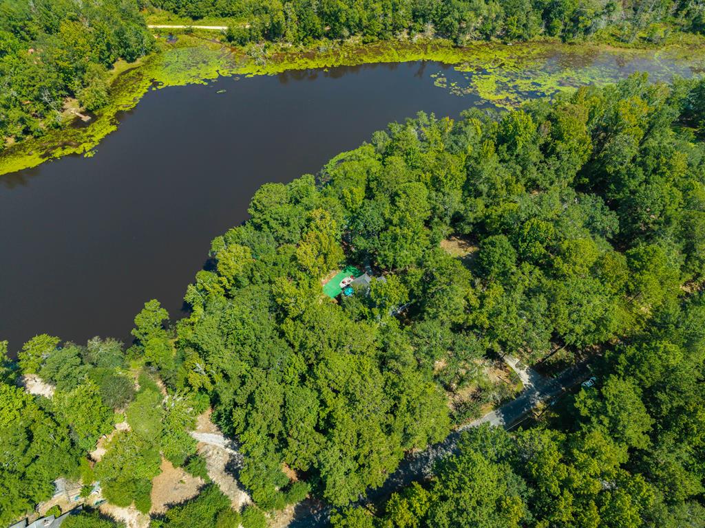 235 Epps Road Box Springs, GA 31801 - Photo 61 of 93