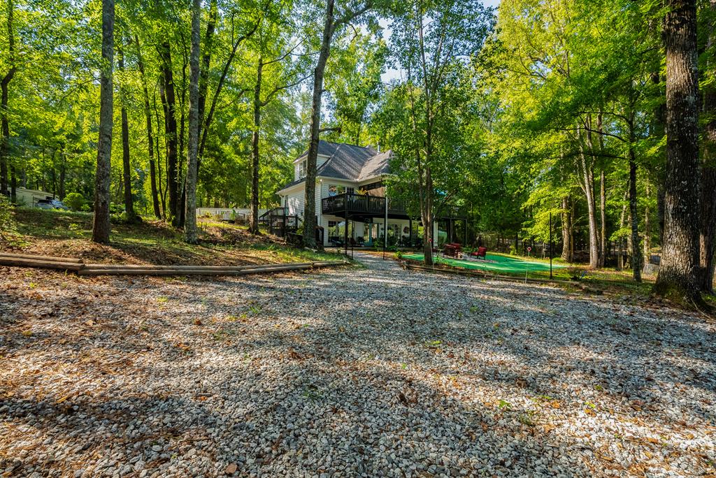 235 Epps Road Box Springs, GA 31801 - Photo 62 of 93 parking pad for lower level entrance