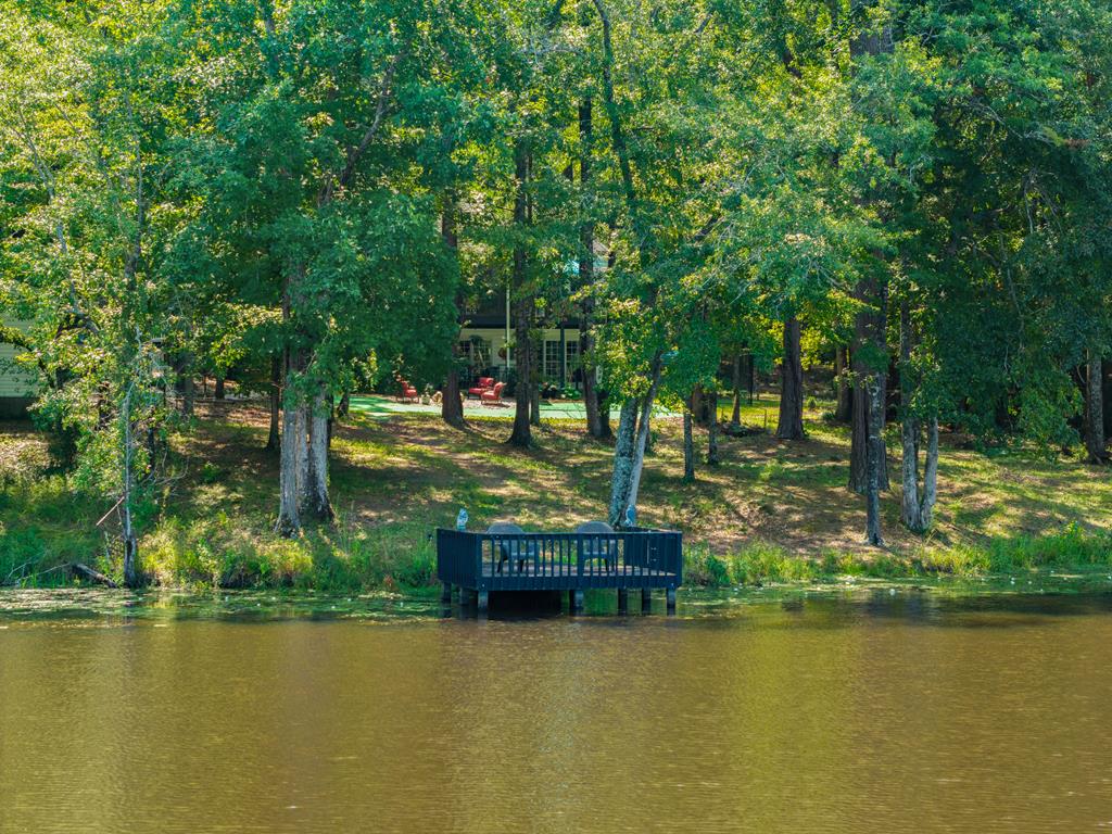 235 Epps Road Box Springs, GA 31801 - Photo 63 of 93