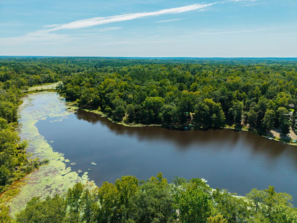 235 Epps Road Box Springs, GA 31801 - Photo 64 of 93 an aerial view of a houses with a lake view