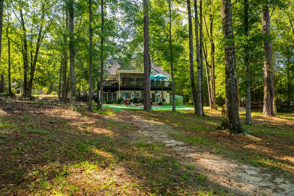 235 Epps Road Box Springs, GA 31801 - Photo 67 of 93