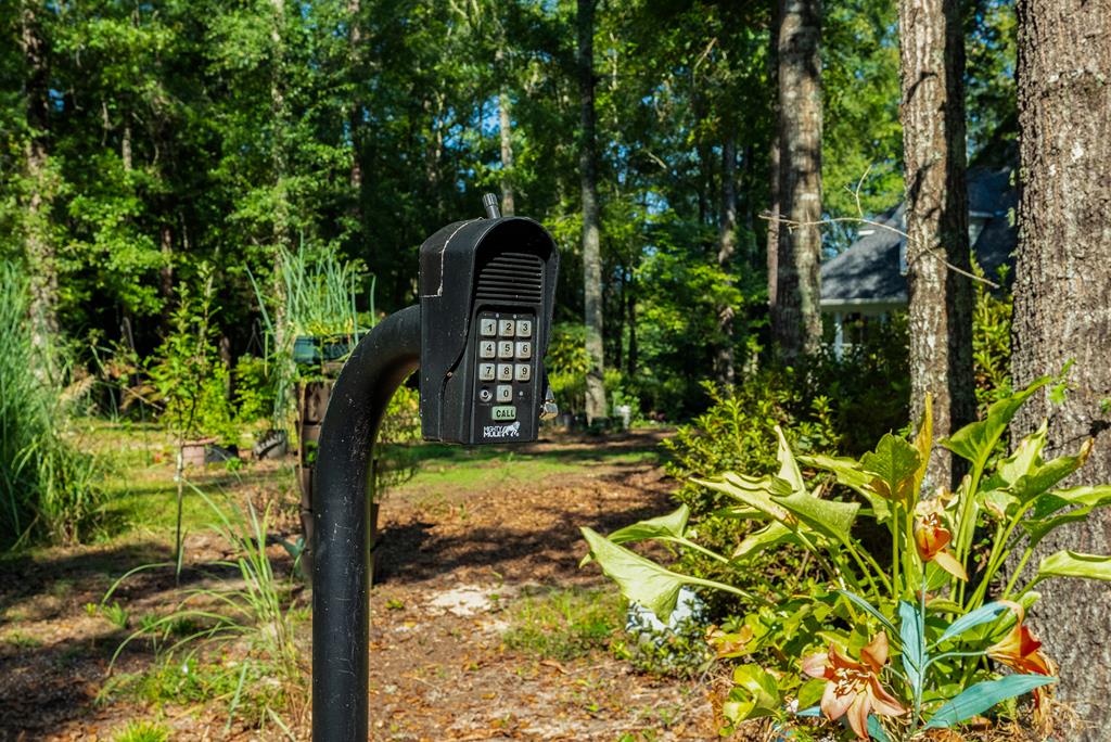 235 Epps Road Box Springs, GA 31801 - Photo 72 of 93