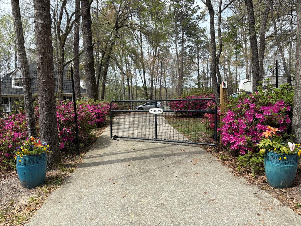 235 Epps Road Box Springs, GA 31801 - Photo 73 of 93 a view of garden with flowers and trees