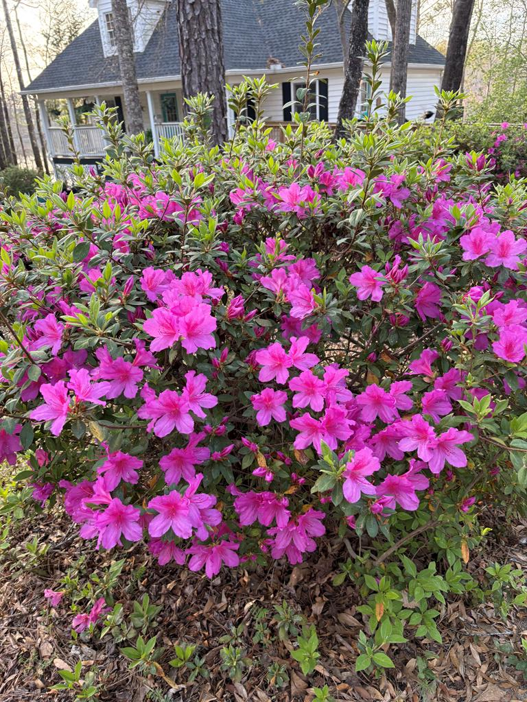 235 Epps Road Box Springs, GA 31801 - Photo 74 of 93