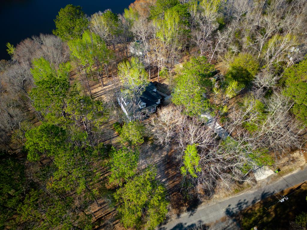 235 Epps Road Box Springs, GA 31801 - Photo 75 of 93