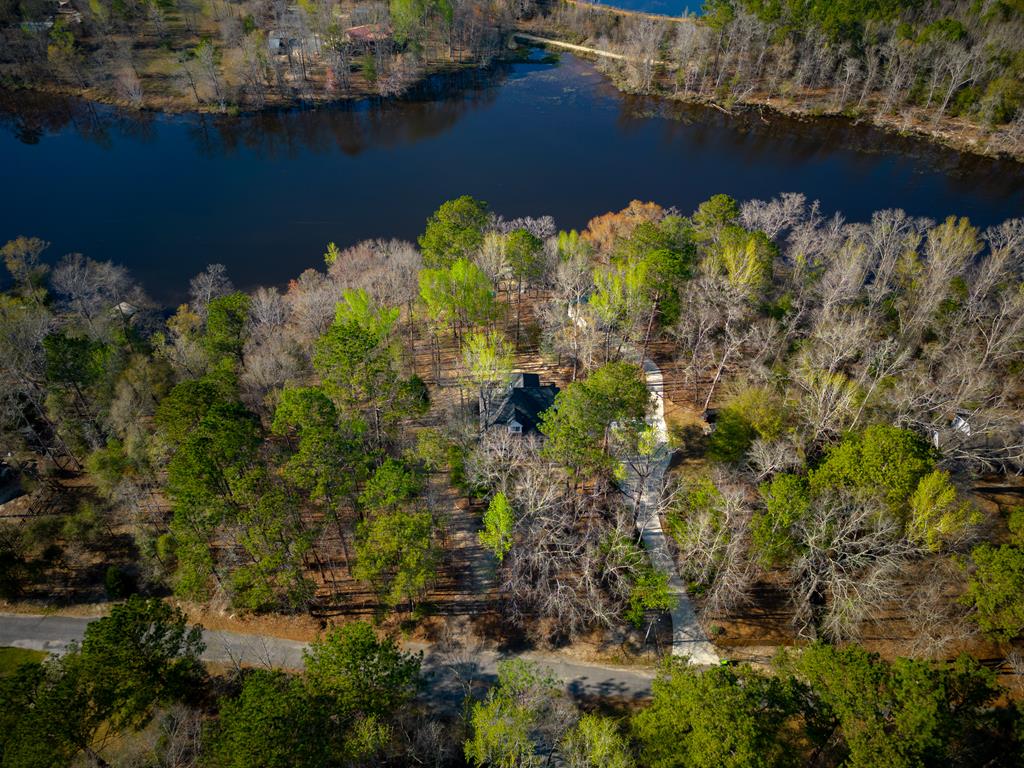 235 Epps Road Box Springs, GA 31801 - Photo 77 of 93 an aerial view of a house with a yard and lake view
