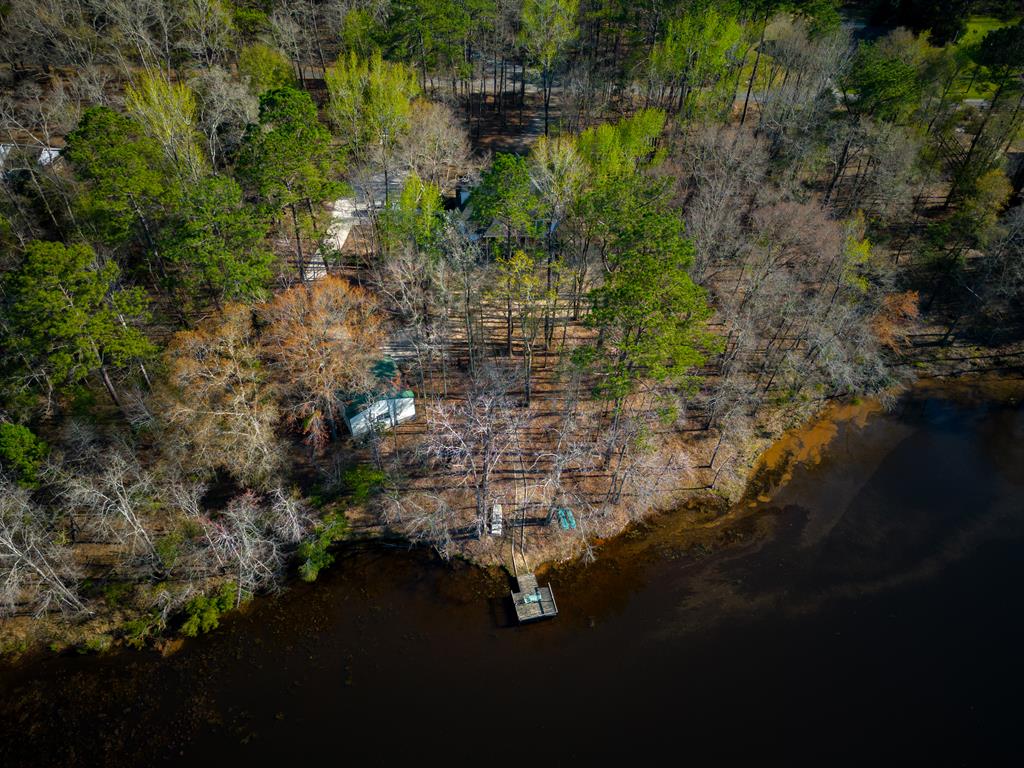 235 Epps Road Box Springs, GA 31801 - Photo 78 of 93 spring aerial views