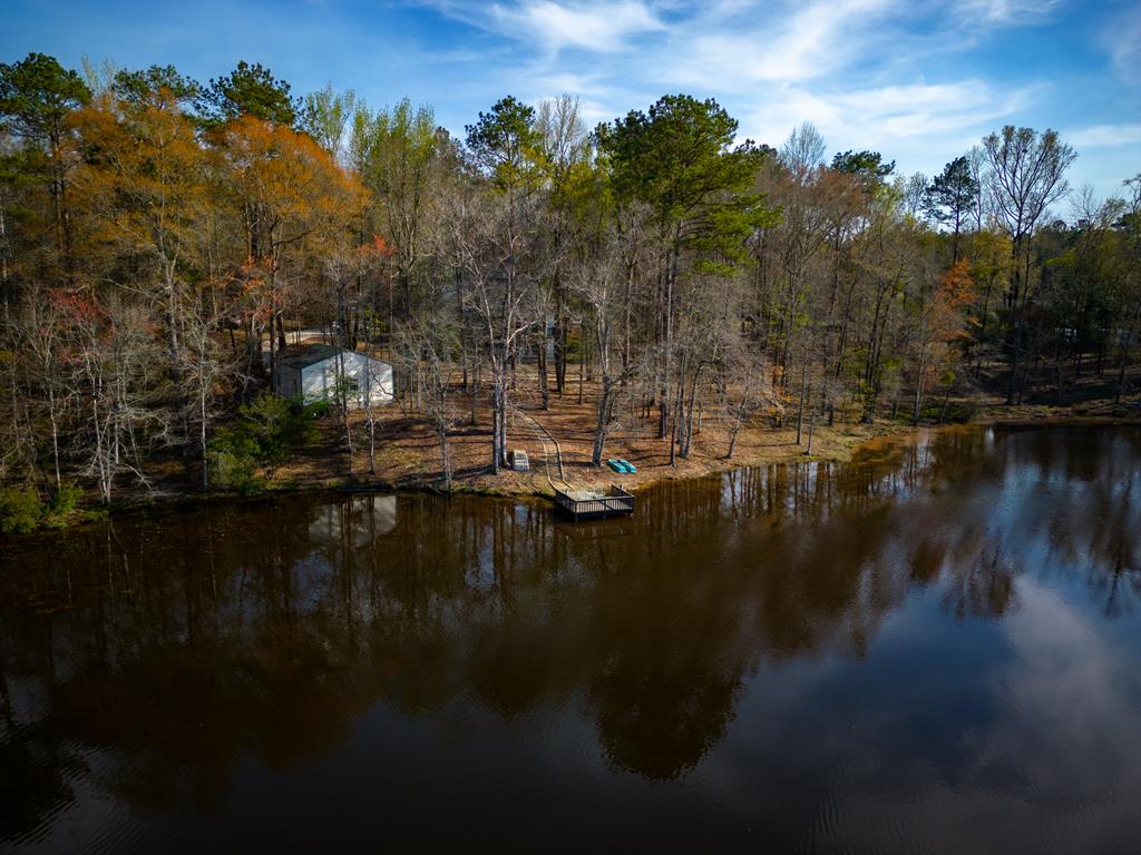 235 Epps Road Box Springs, GA 31801 - Photo 79 of 93