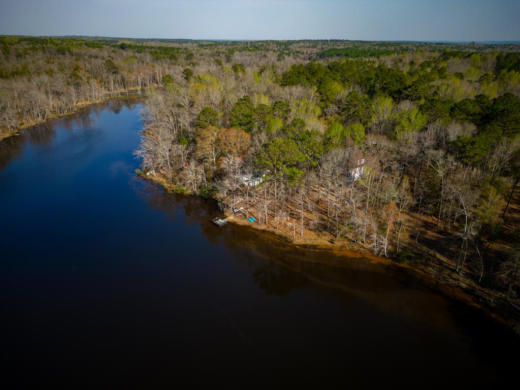 235 Epps Road Box Springs, GA 31801 - Photo 80 of 93