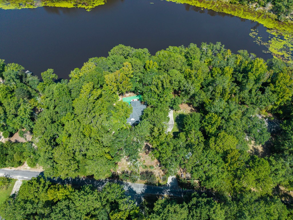 235 Epps Road Box Springs, GA 31801 - Photo 8 of 93 Lakefront Living