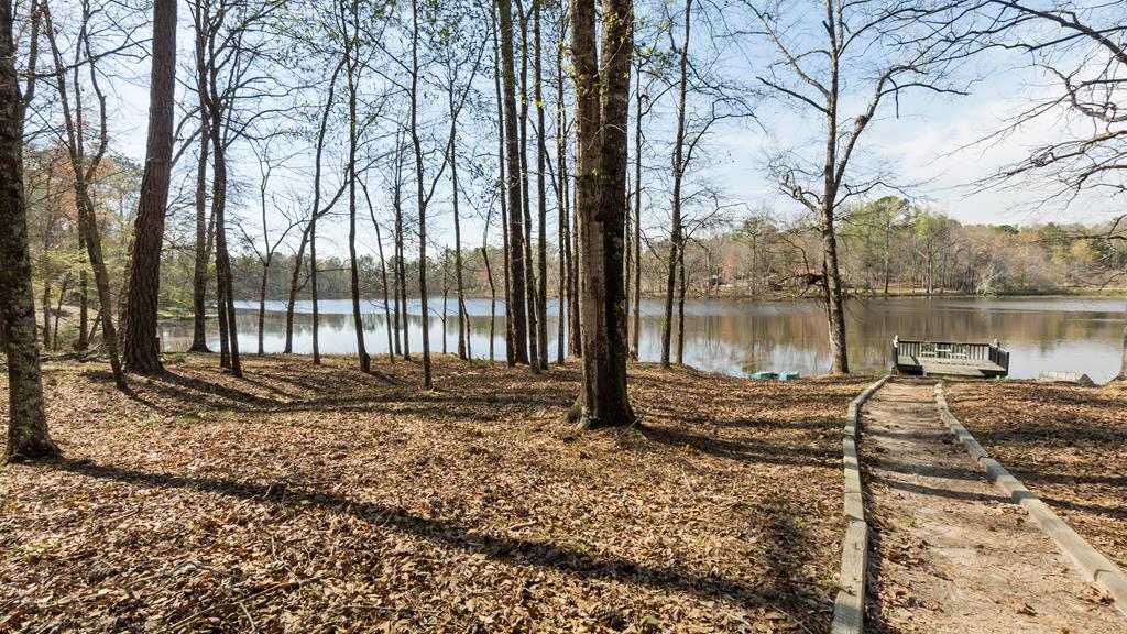 235 Epps Road Box Springs, GA 31801 - Photo 81 of 93 wintertime views of the lake