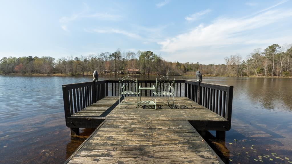 235 Epps Road Box Springs, GA 31801 - Photo 82 of 93