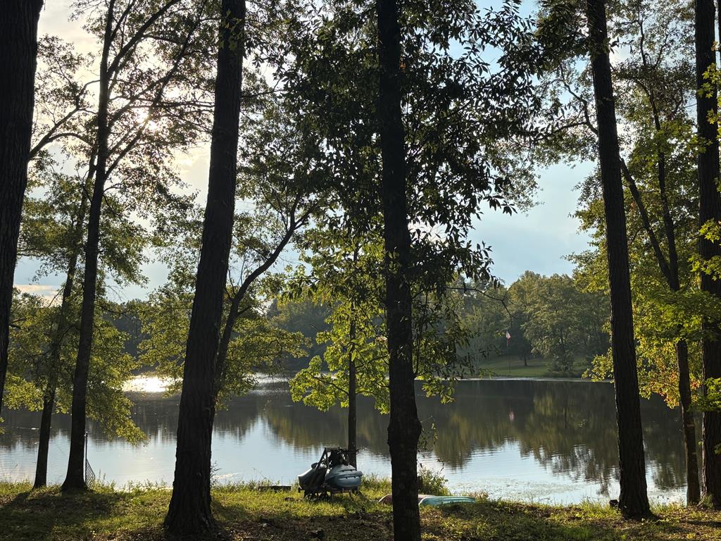 235 Epps Road Box Springs, GA 31801 - Photo 85 of 93