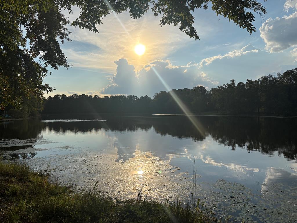 235 Epps Road Box Springs, GA 31801 - Photo 86 of 93