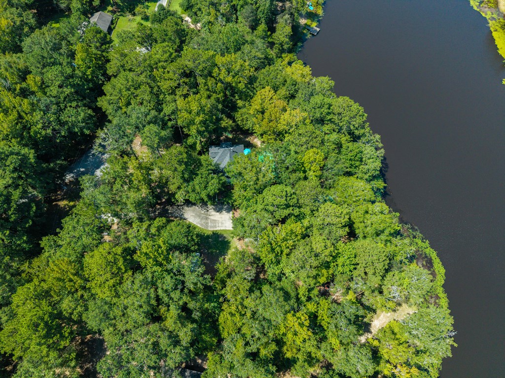 235 Epps Road Box Springs, GA 31801 - Photo 9 of 93