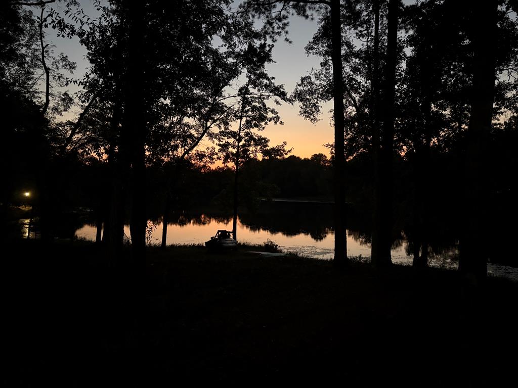 235 Epps Road Box Springs, GA 31801 - Photo 91 of 93