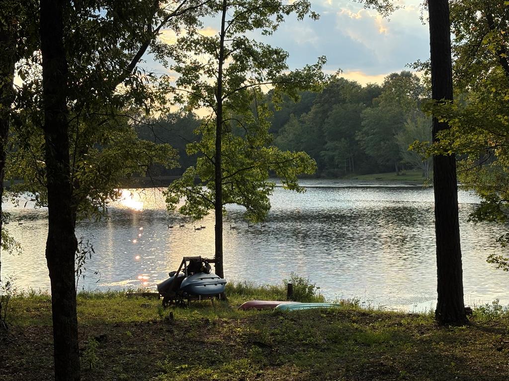 235 Epps Road Box Springs, GA 31801 - Photo 92 of 93