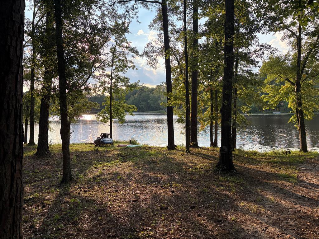 235 Epps Road Box Springs, GA 31801 - Photo 93 of 93 a view of a yard with large trees