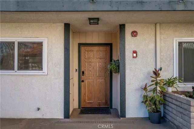 a potted plant sitting in front of a door