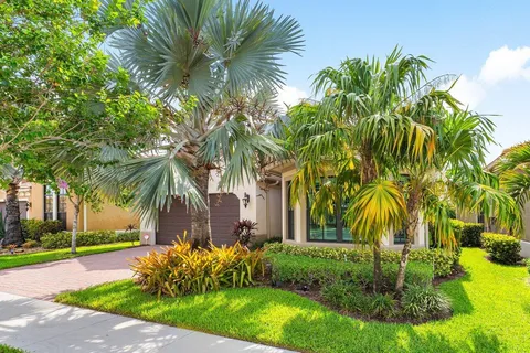 a view of a yard with a palm trees