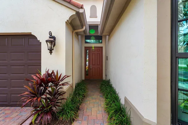 a potted plant in front of a door