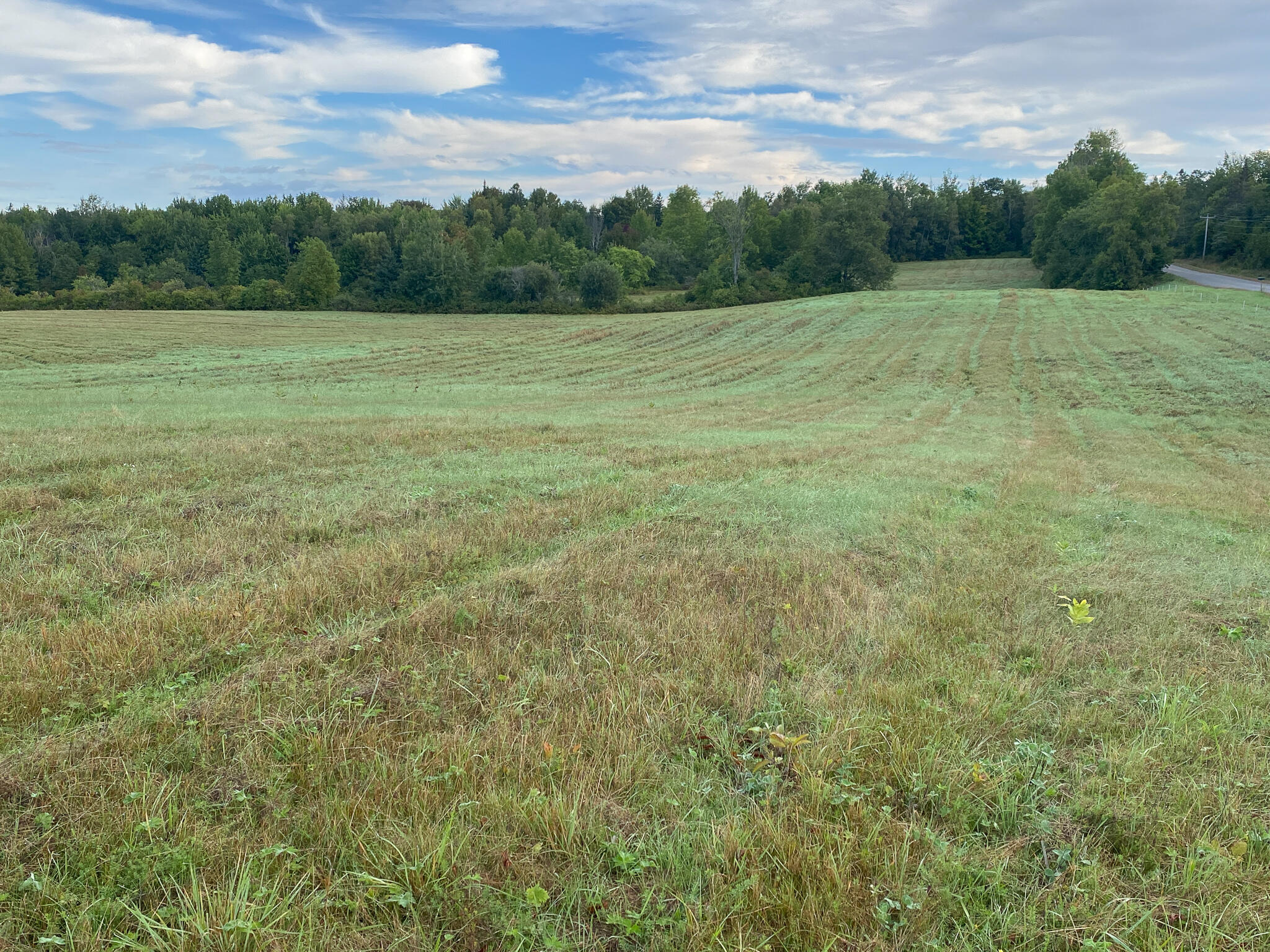 169 Prentiss Twp T7 R3 Nbpp Me 04487 Springfield, ME 04487 - Photo 27 of 41 Photo Sep 08, 8 01 27 AM
