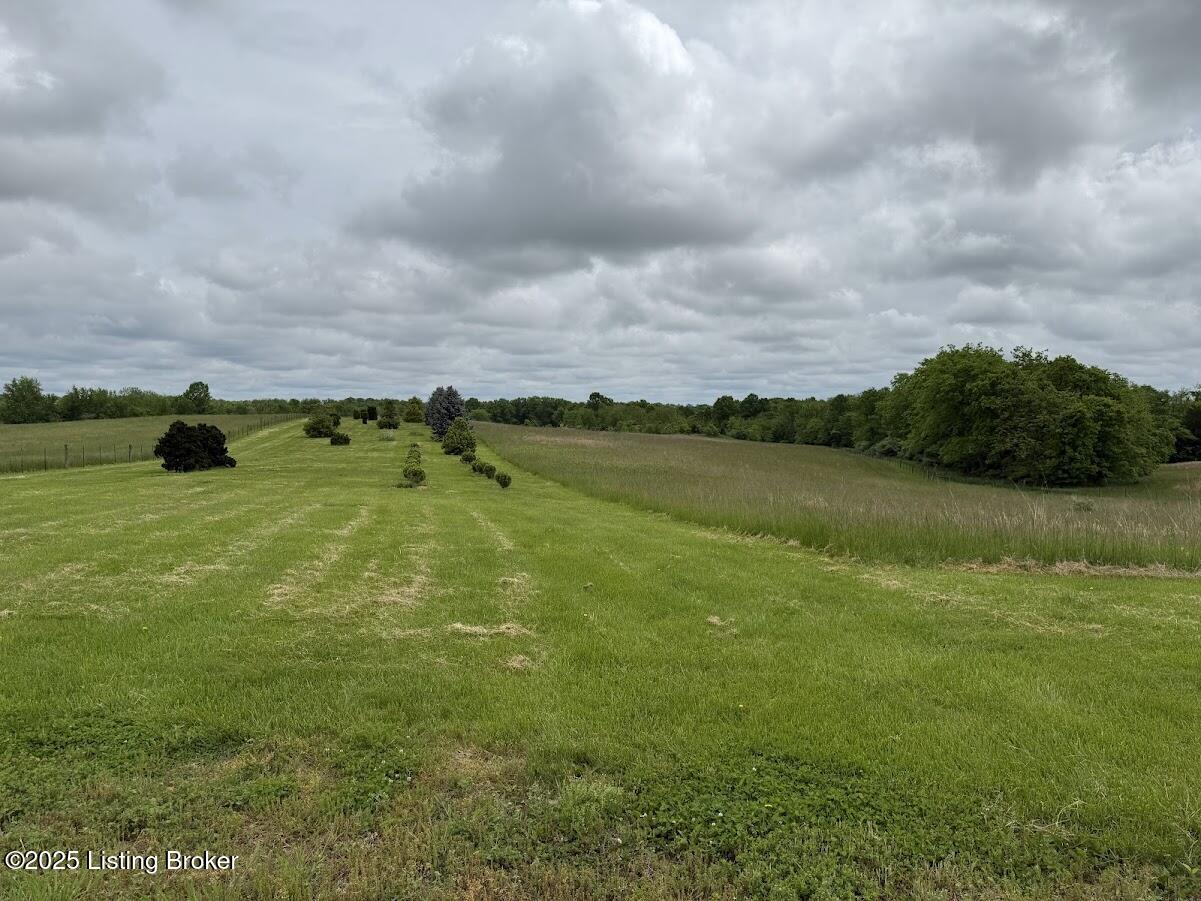 760 New Cut Road Campbellsburg, KY 40011 - Photo 7 of 24 Land