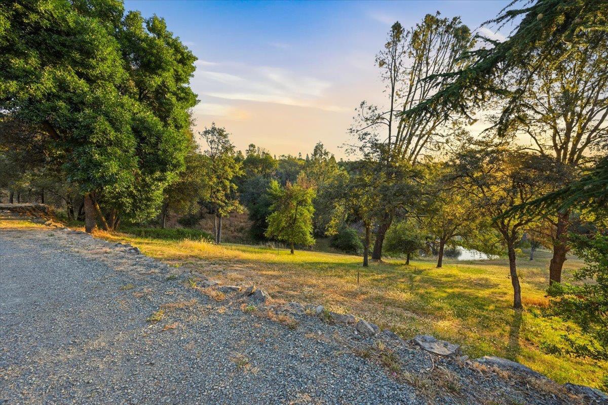 10284 Mystery Lane Rough and Ready, CA 95975 - Photo 43 of 56