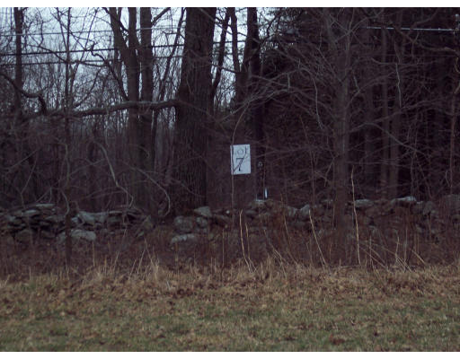 Lot 7 Walnut Rutland Ma Rutland, MA 01543 - Photo 2 of 4 a backyard of a house with lots of green space