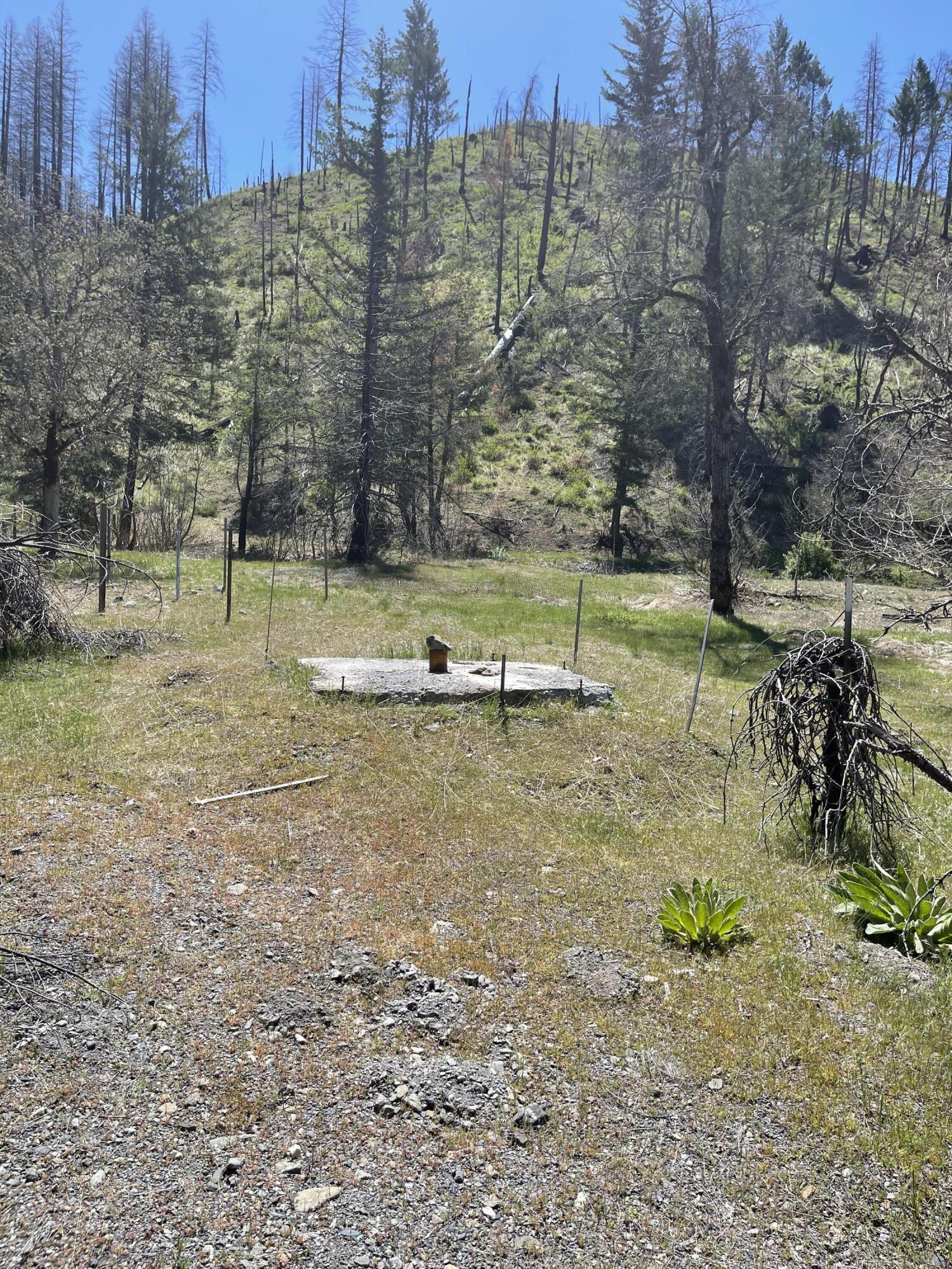 300 Cedar Gap Road Mad River, CA 95552 - Photo 3 of 11