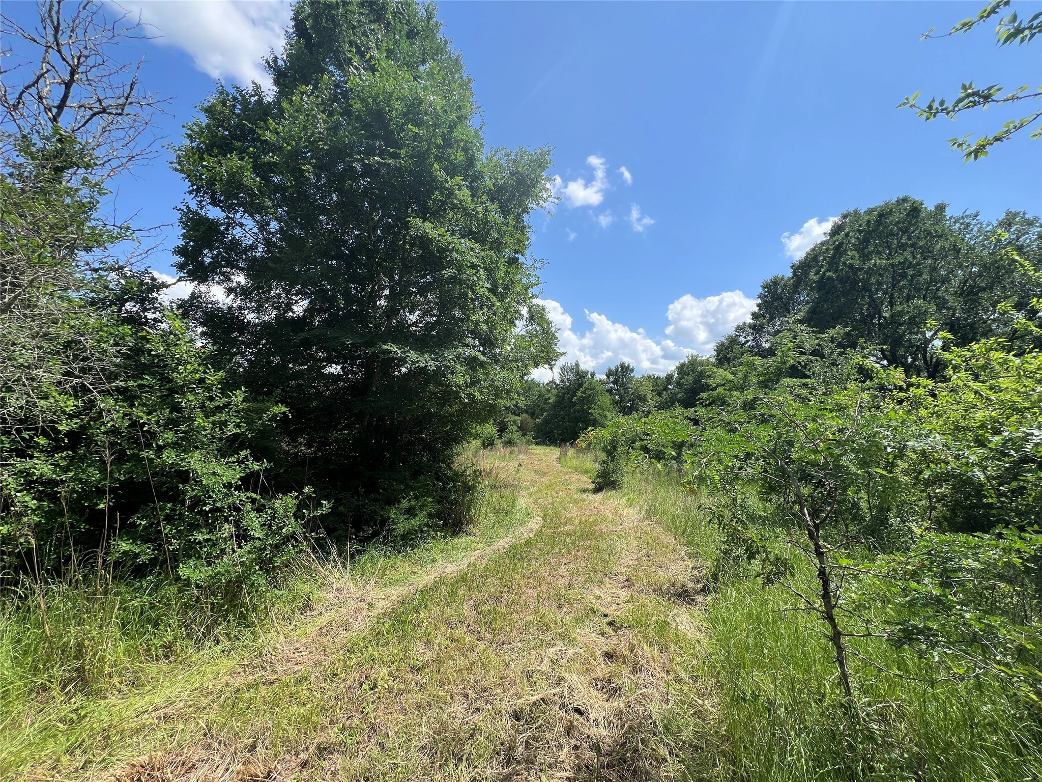 Lot #2 Cr 218 Road Anderson, TX 77830 - Photo 1 of 17 a view of a garden