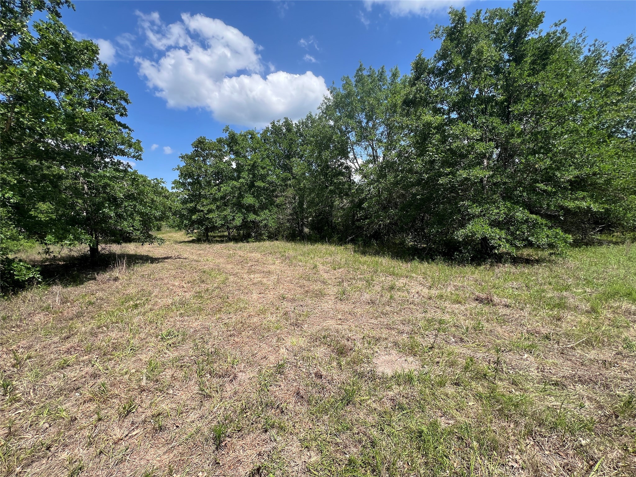Lot #2 Cr 218 Road Anderson, TX 77830 - Photo 12 of 17 a view of basketball court