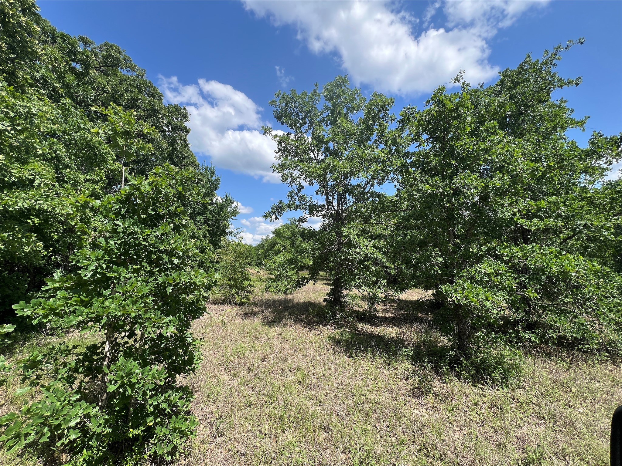 Lot #2 Cr 218 Road Anderson, TX 77830 - Photo 13 of 17 a backyard of a house with a yard and outdoor seating