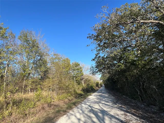 a view of backyard with green space