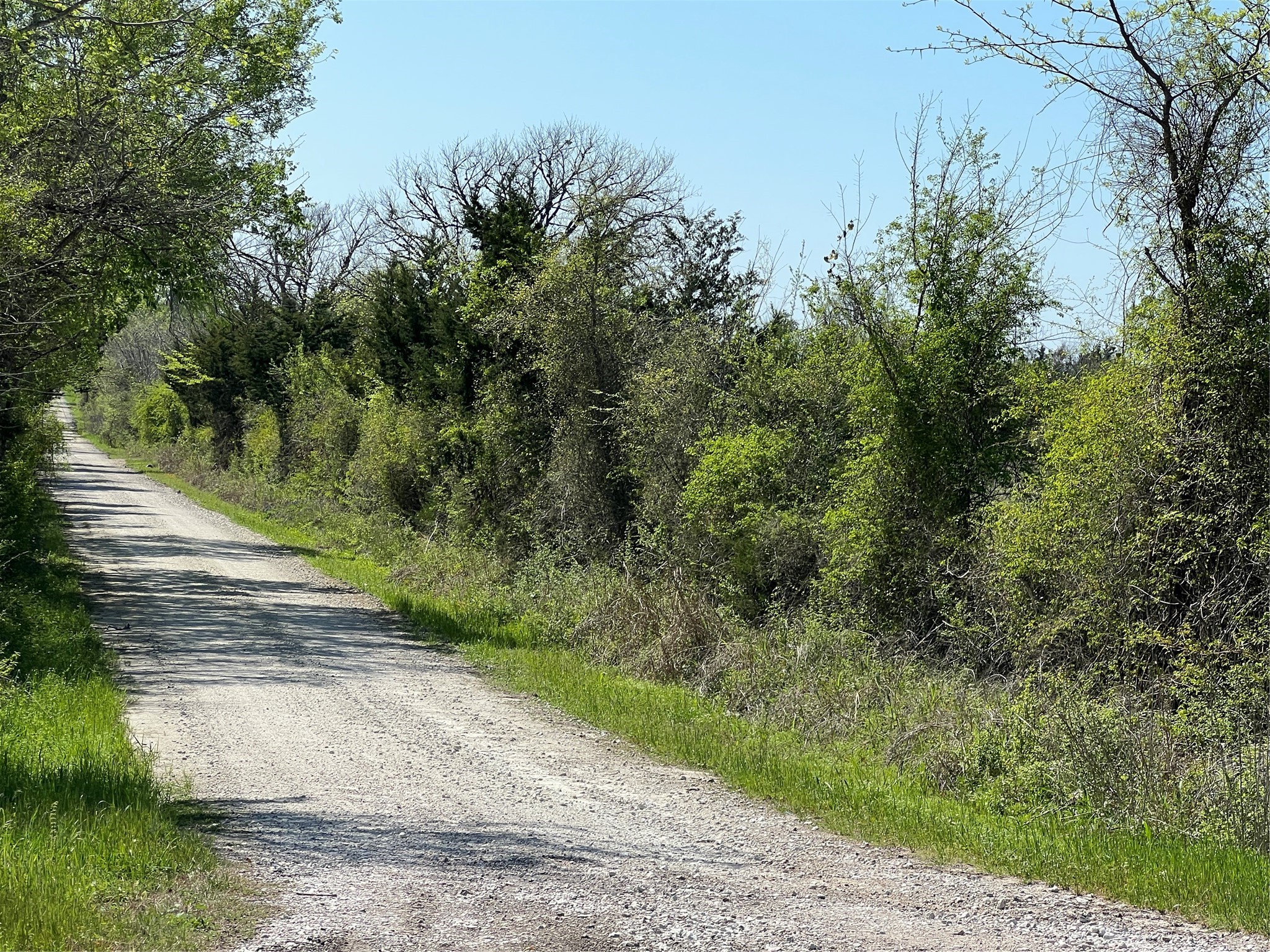 Lot #2 Cr 218 Road Anderson, TX 77830 - Photo 15 of 17 a view of a yard
